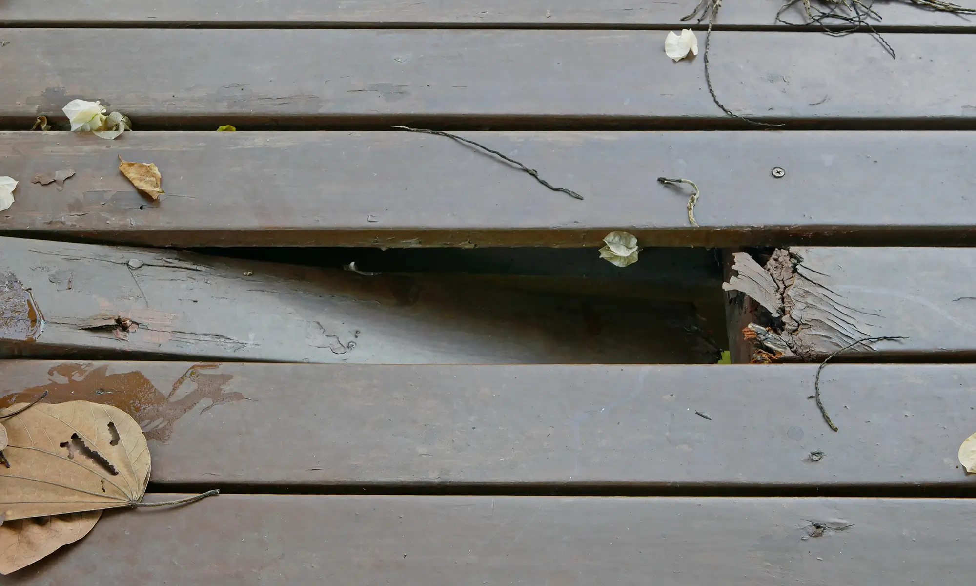 Dry rot repair in Sacramento