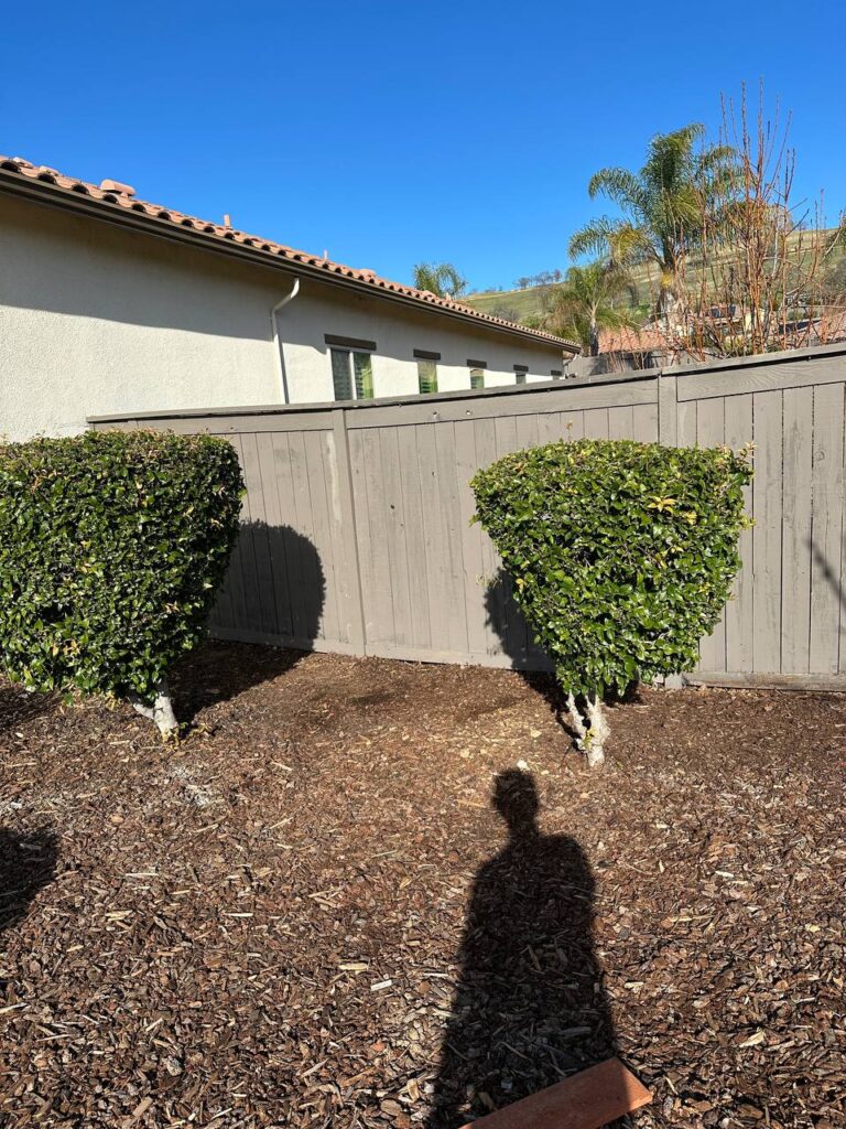 Outdoor Wood repair Process